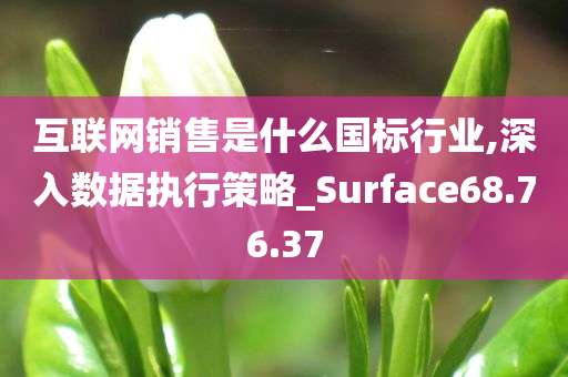 互联网销售是什么国标行业,深入数据执行策略_Surface68.76.37