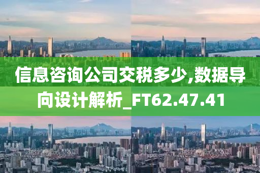 信息咨询公司交税多少,数据导向设计解析_FT62.47.41