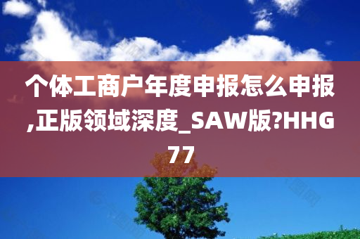 个体工商户年度申报怎么申报,正版领域深度_SAW版?HHG77