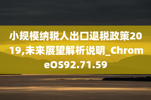 小规模纳税人出口退税政策2019,未来展望解析说明_ChromeOS92.71.59