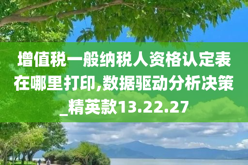 增值税一般纳税人资格认定表在哪里打印,数据驱动分析决策_精英款13.22.27