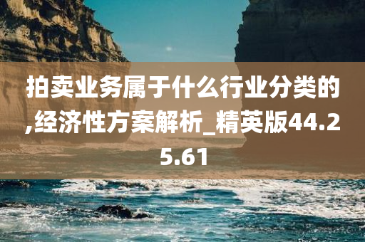 拍卖业务属于什么行业分类的,经济性方案解析_精英版44.25.61