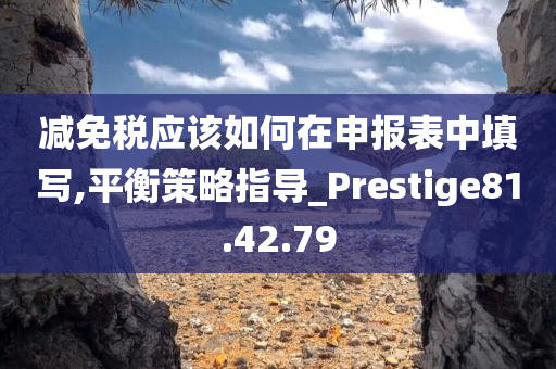 减免税应该如何在申报表中填写,平衡策略指导_Prestige81.42.79