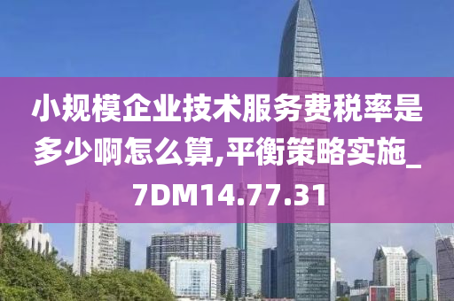 小规模企业技术服务费税率是多少啊怎么算,平衡策略实施_7DM14.77.31