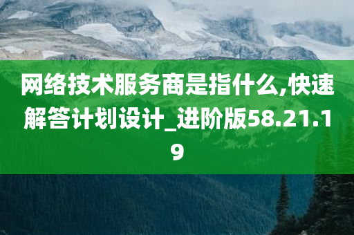 网络技术服务商是指什么,快速解答计划设计_进阶版58.21.19