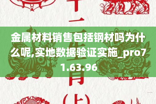 金属材料销售包括钢材吗为什么呢,实地数据验证实施_pro71.63.96