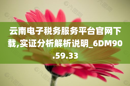 云南电子税务服务平台官网下载,实证分析解析说明_6DM90.59.33