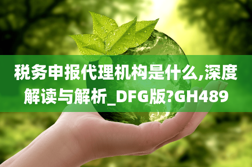 税务申报代理机构是什么,深度解读与解析_DFG版?GH489