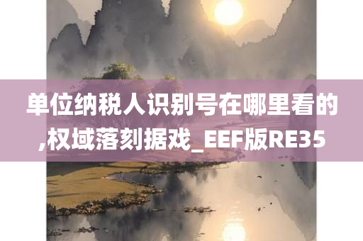 单位纳税人识别号在哪里看的,权域落刻据戏_EEF版RE35