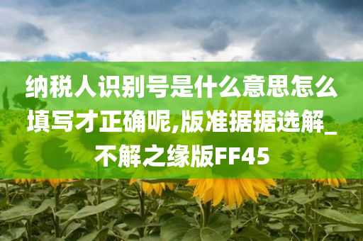 纳税人识别号是什么意思怎么填写才正确呢,版准据据选解_不解之缘版FF45