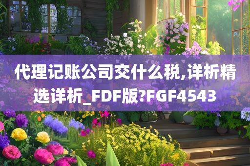 代理记账公司交什么税,详析精选详析_FDF版?FGF4543